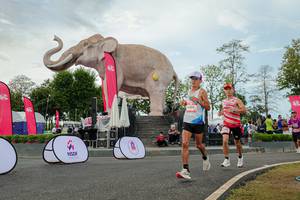 BIB: 
                            <button type="button" onclick="openModal(26528732)" class="btn btn-primary btn-sm float-right btn-popup" data-toggle="modal" data-target=".modal-high-quality">
                        <i class="fas fa-shopping-cart"></i> Add to Cart
                    </button>
                                            <button type="button" onclick="isThisMe(26528732, true)" class="btn btn-success btn-sm float-right btn-popup btn-isme hidden" data-toggle="tooltip" data-placement="bottom" title="นี่คือรูปของคุณใช่ไหม คลิกที่นี่เพื่อเอาเข้าอัลบั้ม">
                        <i class="fas fa-plus"></i> Add to album
                    </button>
                    <button type="button" onclick="isThisMe(26528732, false)" class="btn btn-warning btn-sm float-right btn-popup btn-isnotme hidden">
                        <i class="fas fa-ban"></i> Remove from album
                    </button>